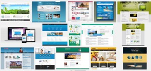 Jasa Website Pekanbaru