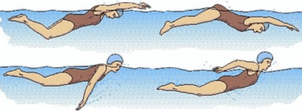 Gaya berenang kupu-kupu